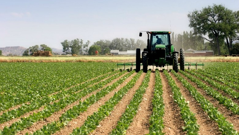 En lo que va del año, el campo exportó más que la industria