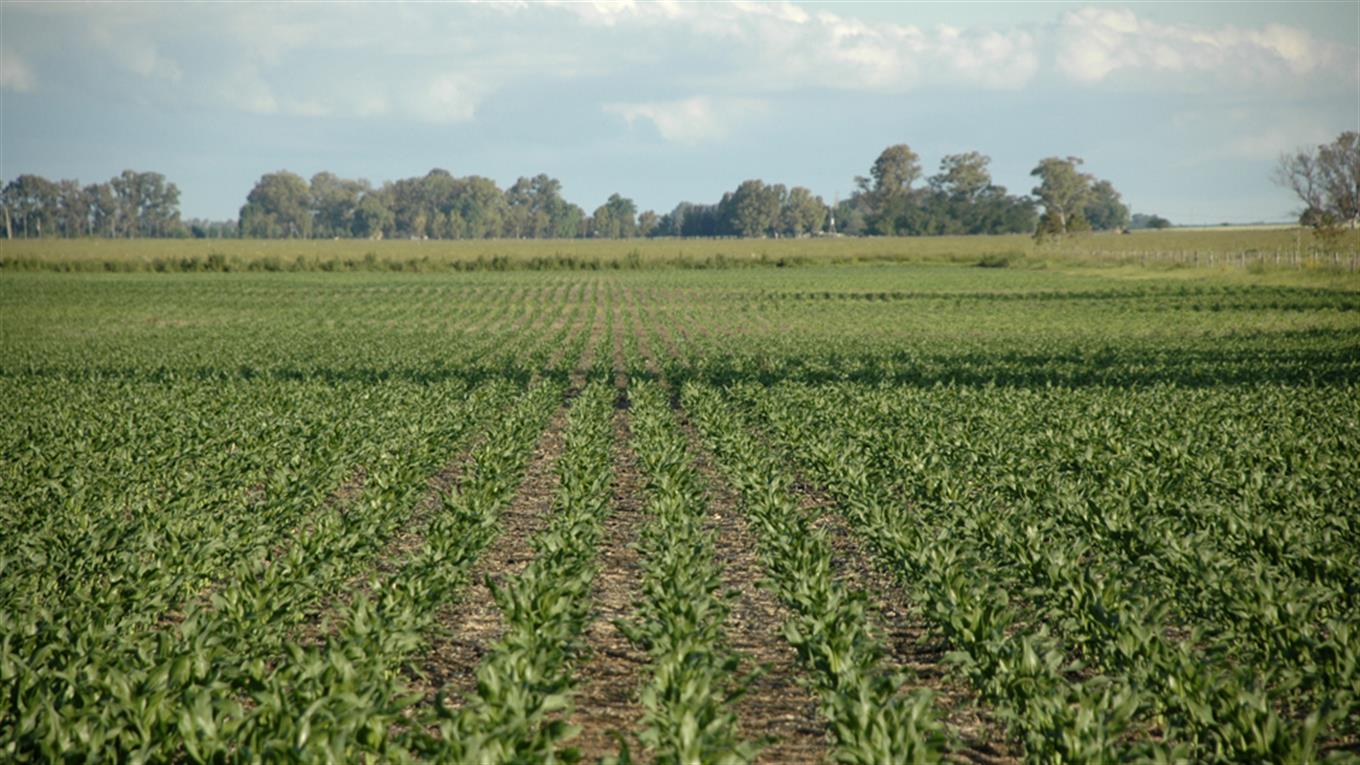 Buscan impulsar acuerdos de competitividad en el agro