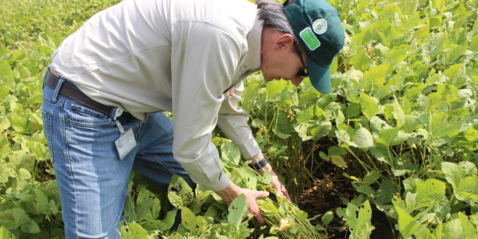 El Sistema de Innovación Agropecuaria quiere ver la luz