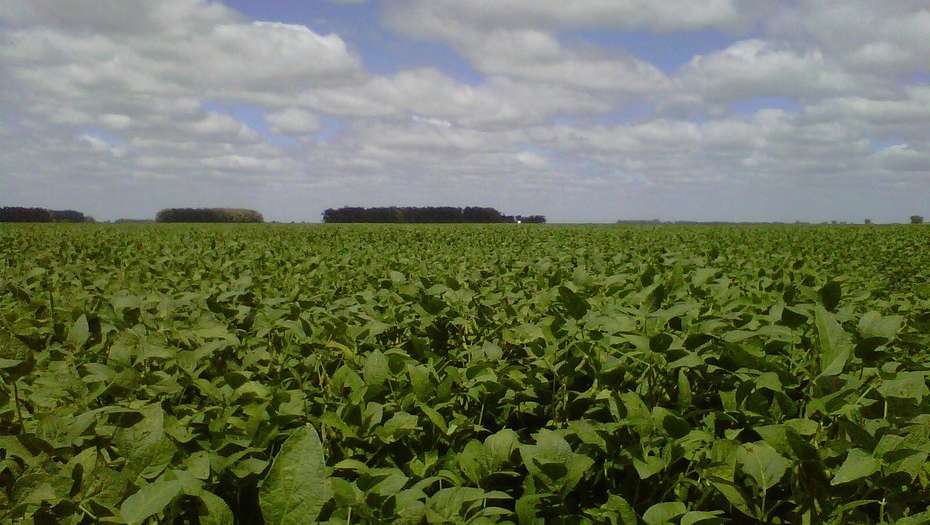 Crean un registro de explotación de tierras rurales